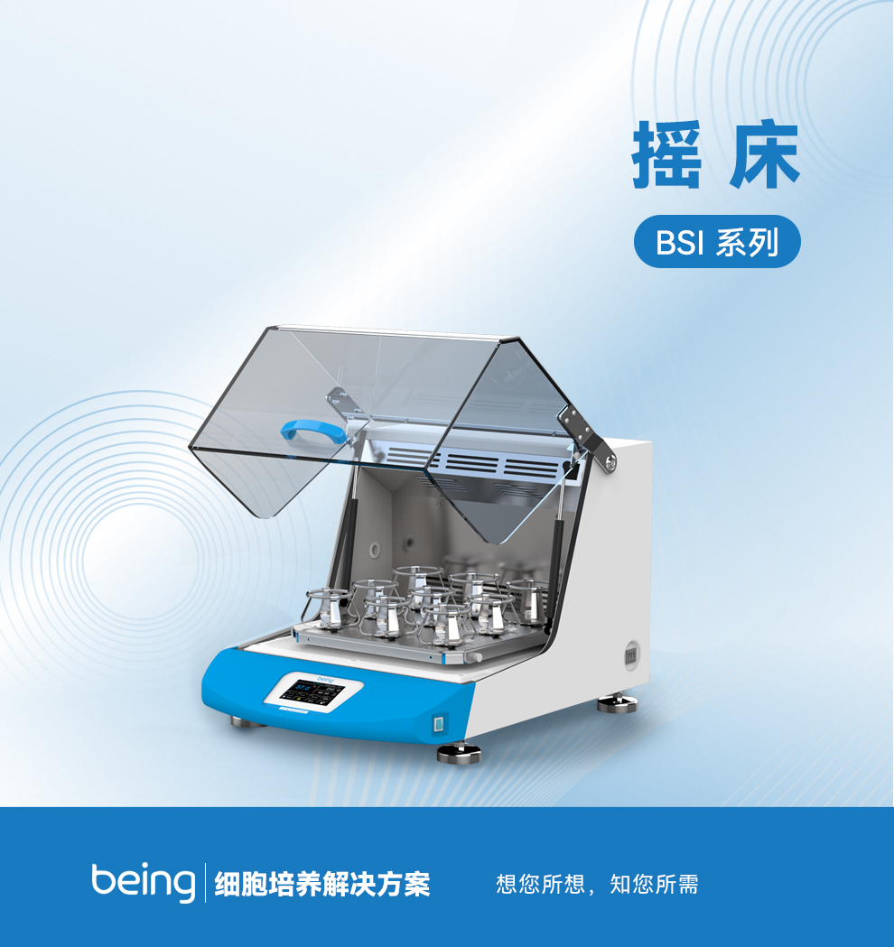 貝茵搖床 貝茵搖床